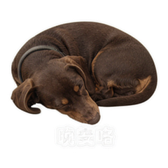 貼圖 12