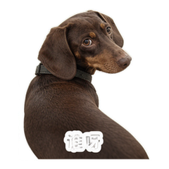 貼圖 9