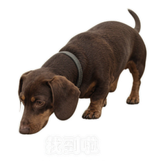 貼圖 11