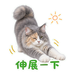 表情 10