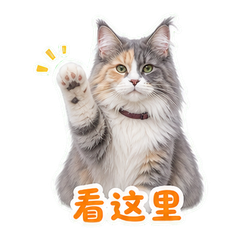表情 5