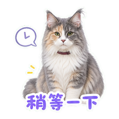 窗廊边的雾斑 sticker 4