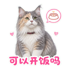 表情 11