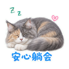 表情 12