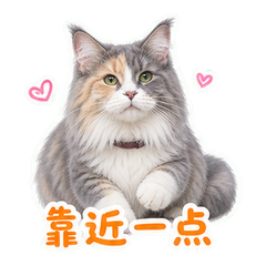表情 9