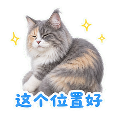 表情 8