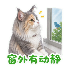 表情 6