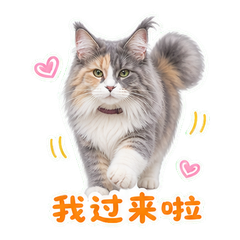 窗廊边的雾斑 sticker 1