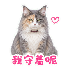 表情 7