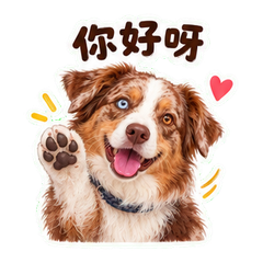 表情 7