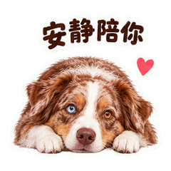 表情 11