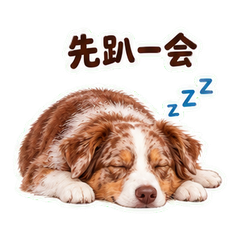 表情 12