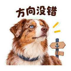 表情 9