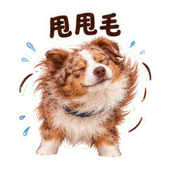 表情 10