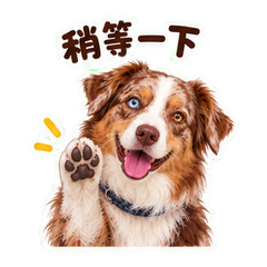 表情 5