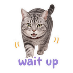 Sticker 5