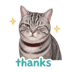 Silver Tabby Days sticker 3