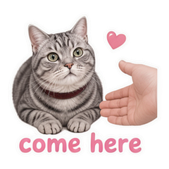 Sticker 6