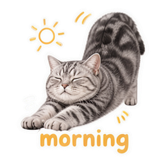 Silver Tabby Days sticker 1