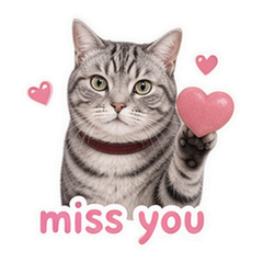 Sticker 9