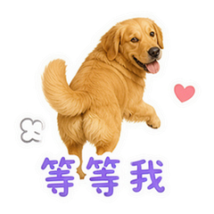 貼圖 6