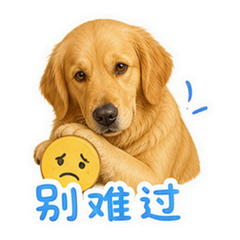 貼圖 8