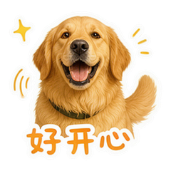 暖阳金毛 貼圖 4