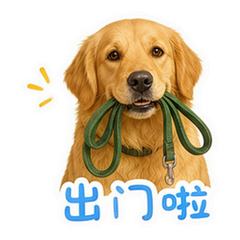 貼圖 11