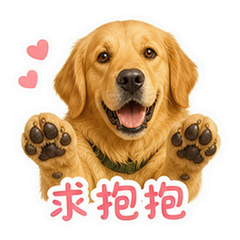 貼圖 7