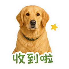 貼圖 5