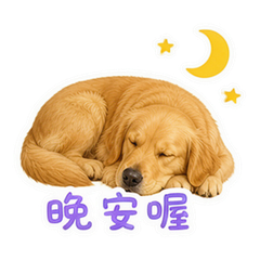 貼圖 12