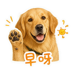 暖阳金毛 貼圖 1