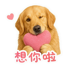 貼圖 10