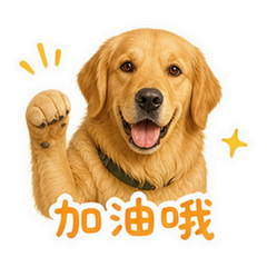貼圖 9
