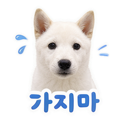 Sticker 10