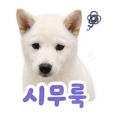 Sticker 8