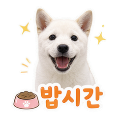 Sticker 11