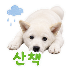Sticker 6