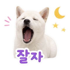 Sticker 12