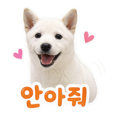 Sticker 5