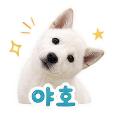 Sticker 7