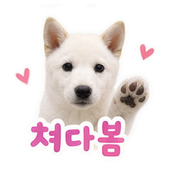 Sticker 9