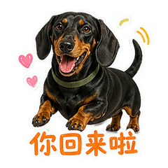 表情 10