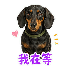 表情 4