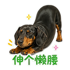 表情 11