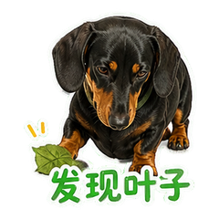 表情 6