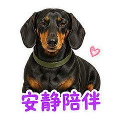 表情 9