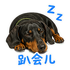 表情 12