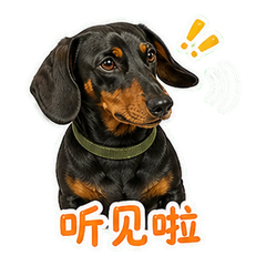 表情 5