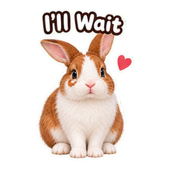 Sticker 5
